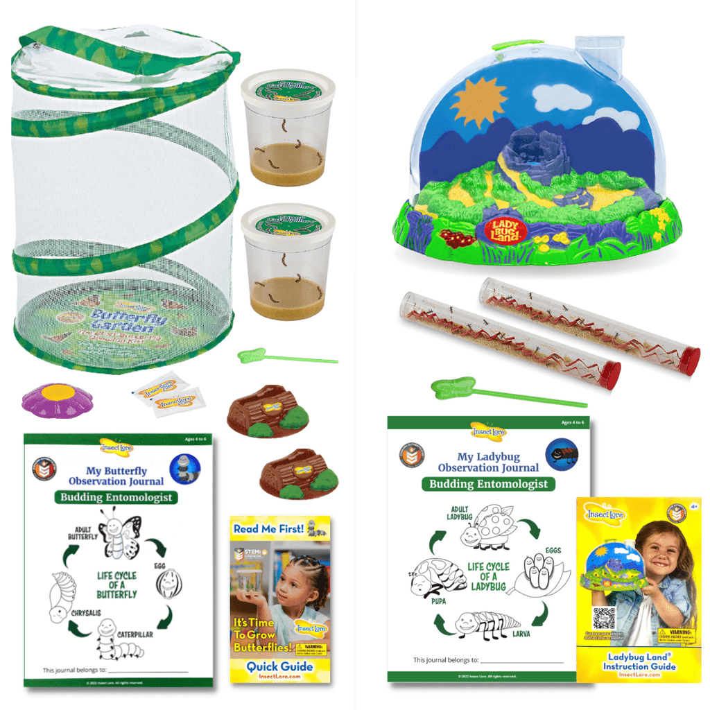 Live Insect Life Cycle Learning Bundle Default Title