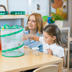 Live Insect Life Cycle Learning Bundle product image 4