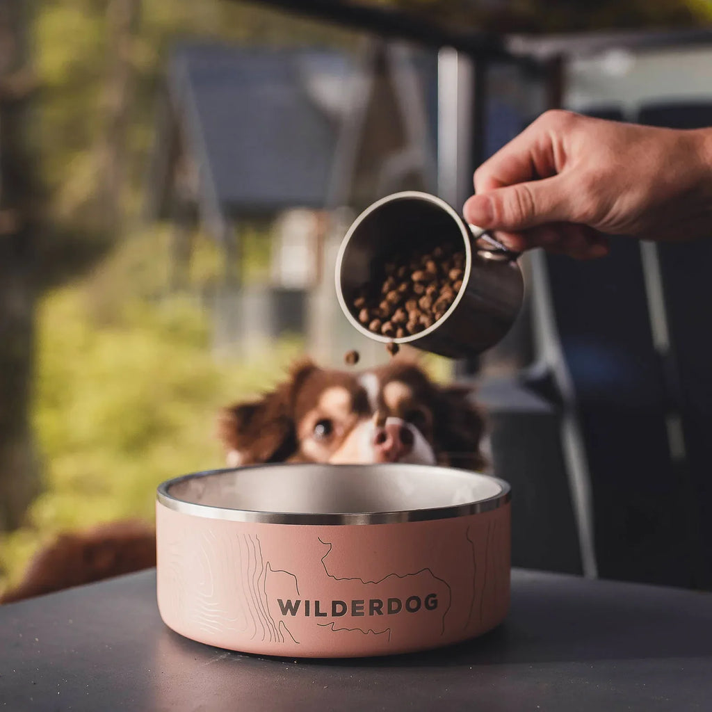 Stainless Steel Dog Bowl product image 2