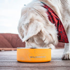 Stainless Steel Dog Bowl product image 3