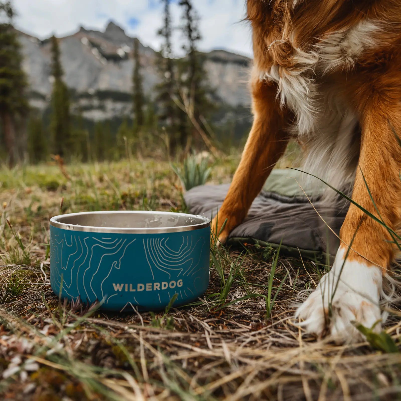 Stainless Steel Dog Bowl product image 4
