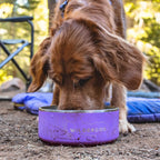 Stainless Steel Dog Bowl product image 5