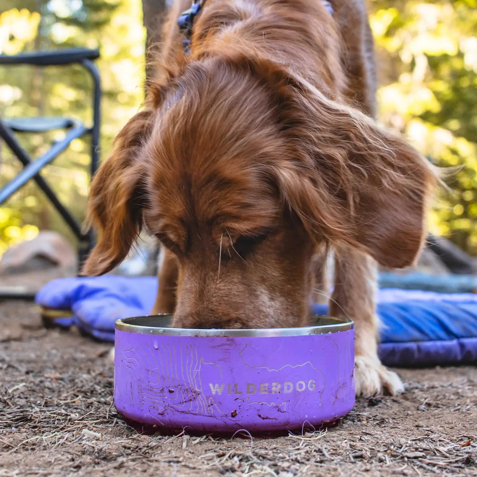 Stainless Steel Dog Bowl product image 5
