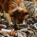 Stainless Steel Dog Bowl product image 6