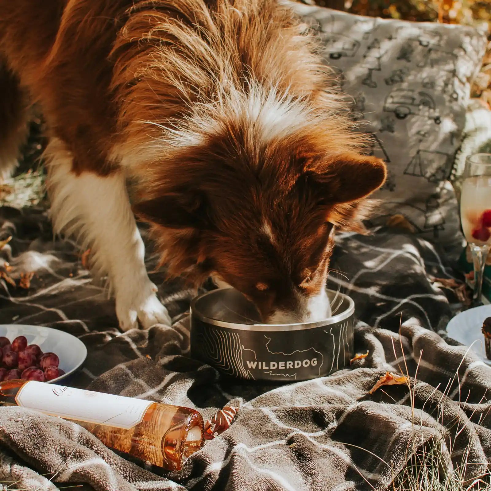 Stainless Steel Dog Bowl product image 6