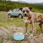 Stainless Steel Dog Bowl product image 8