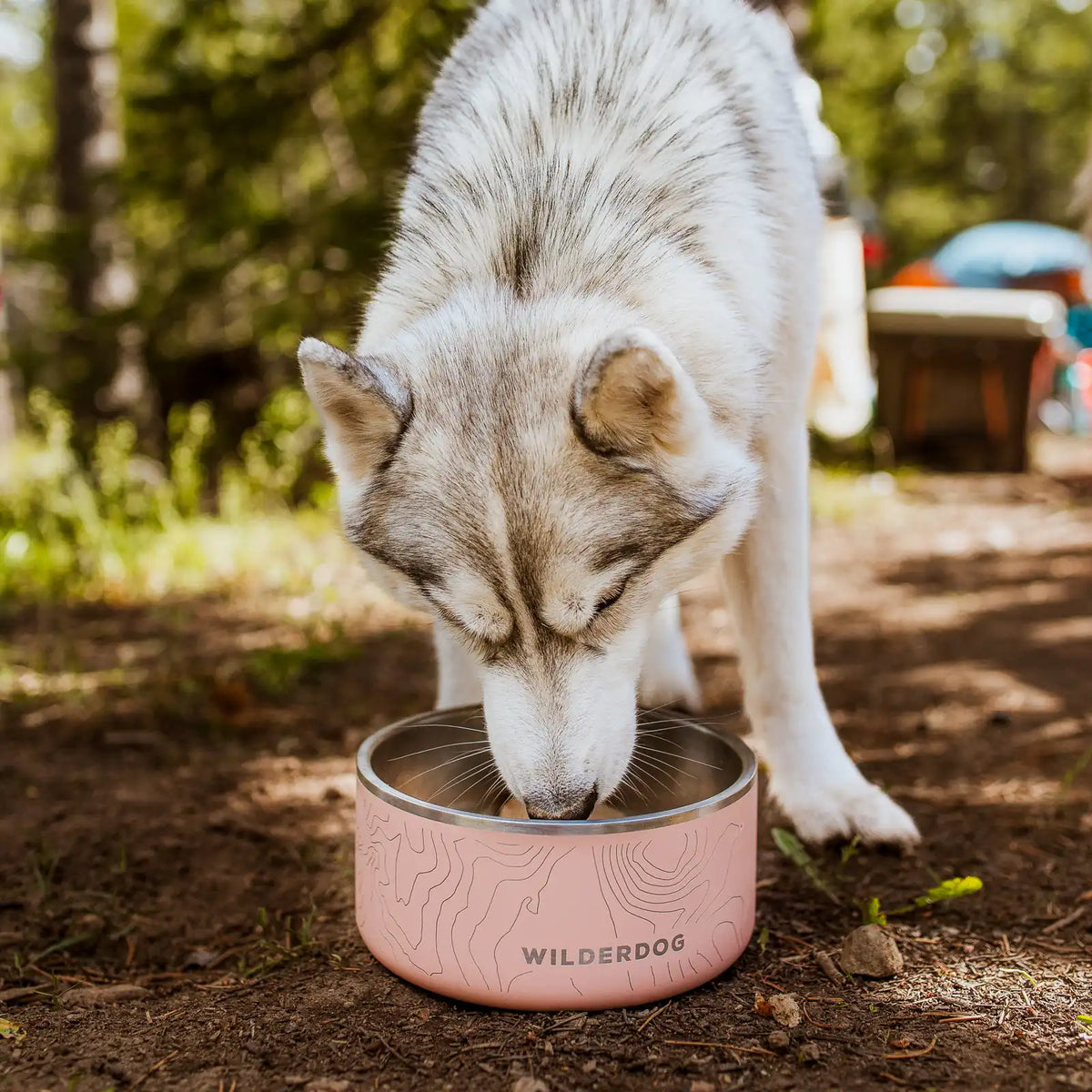 Stainless Steel Dog Bowl product image 9