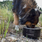 Stainless Steel Dog Bowl product image 11