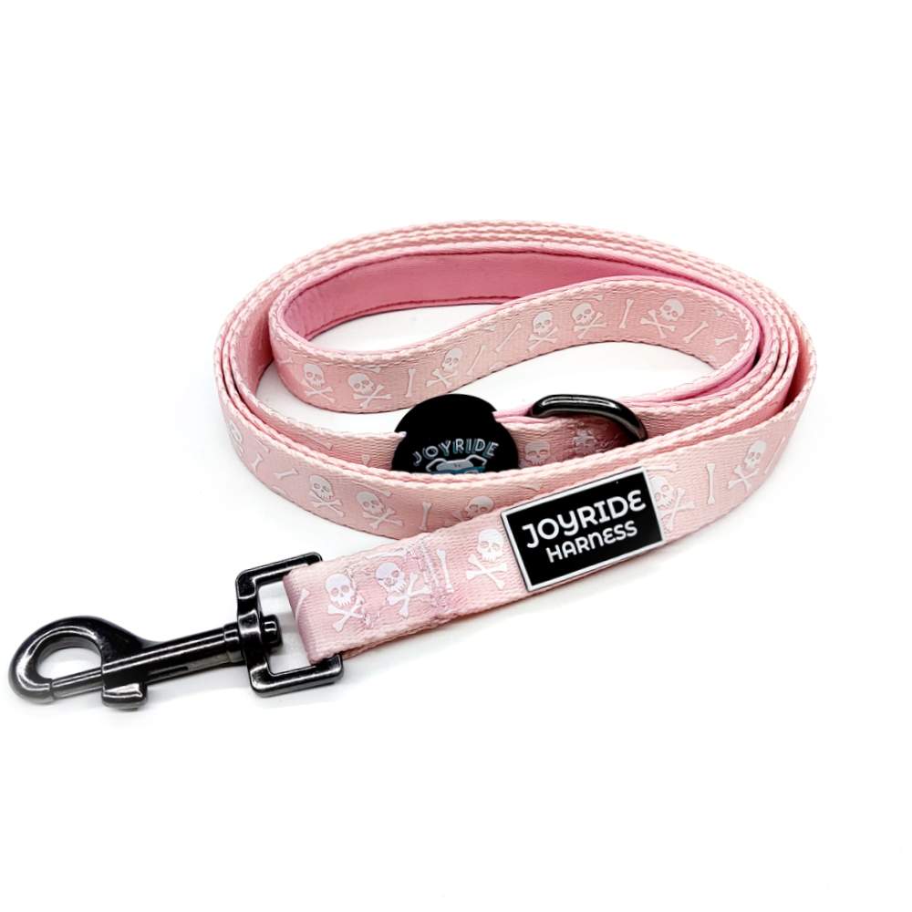 Dog Leash product image 1
