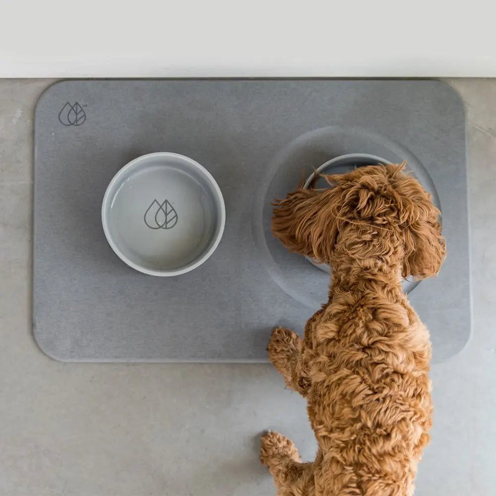 Ceramic Dog Bowls product image 3