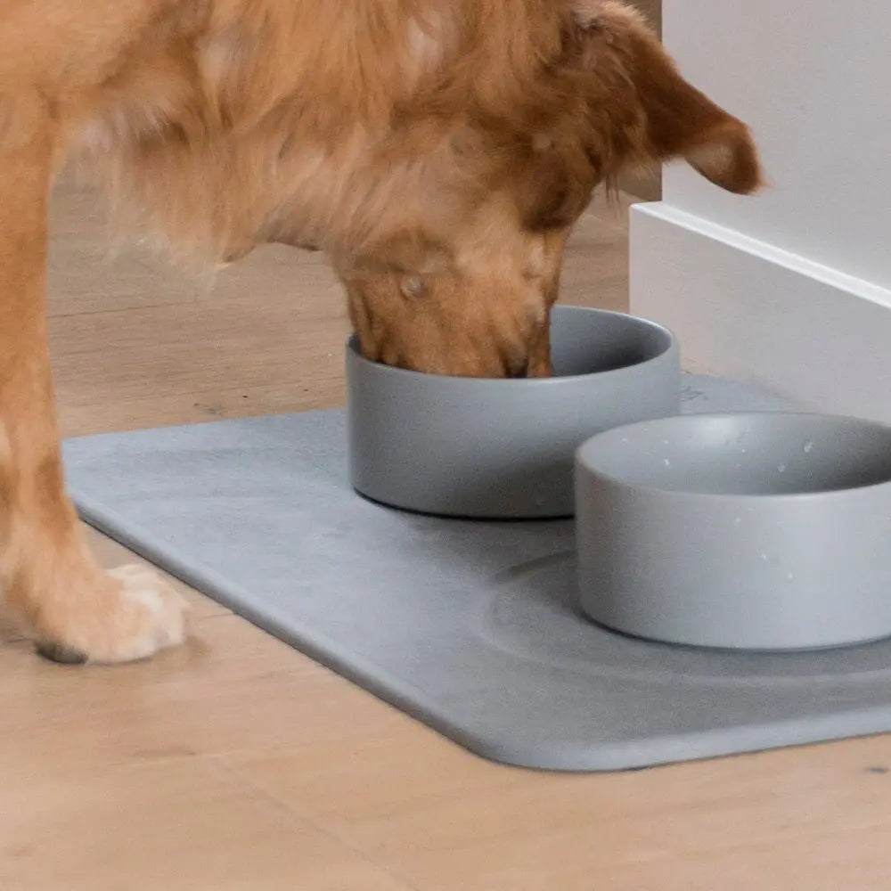 Ceramic Dog Bowls product image 5
