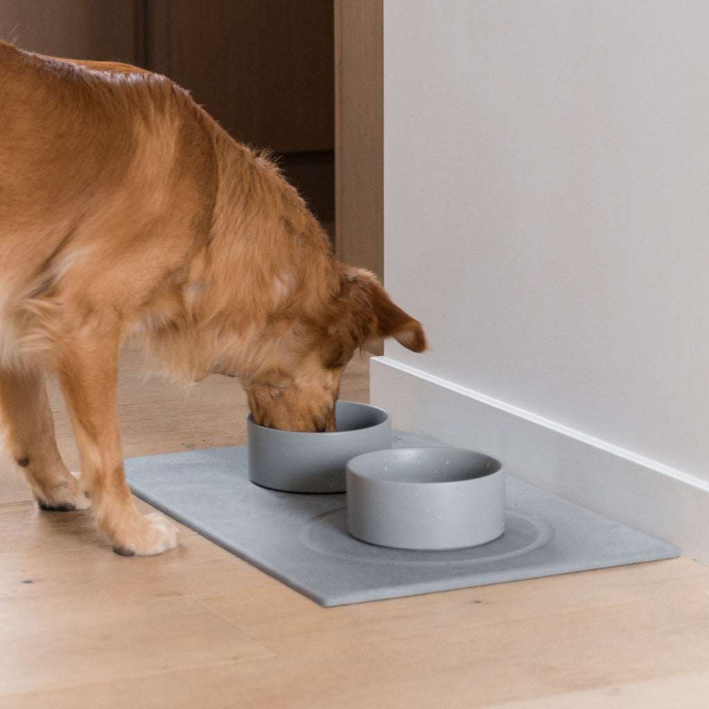 Absorbent Dog Bowl Mat product image 5