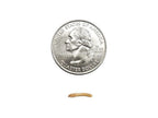 Live Mealworm Feeder Insects, Small / 50