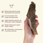Elk Antler Chew product image 4