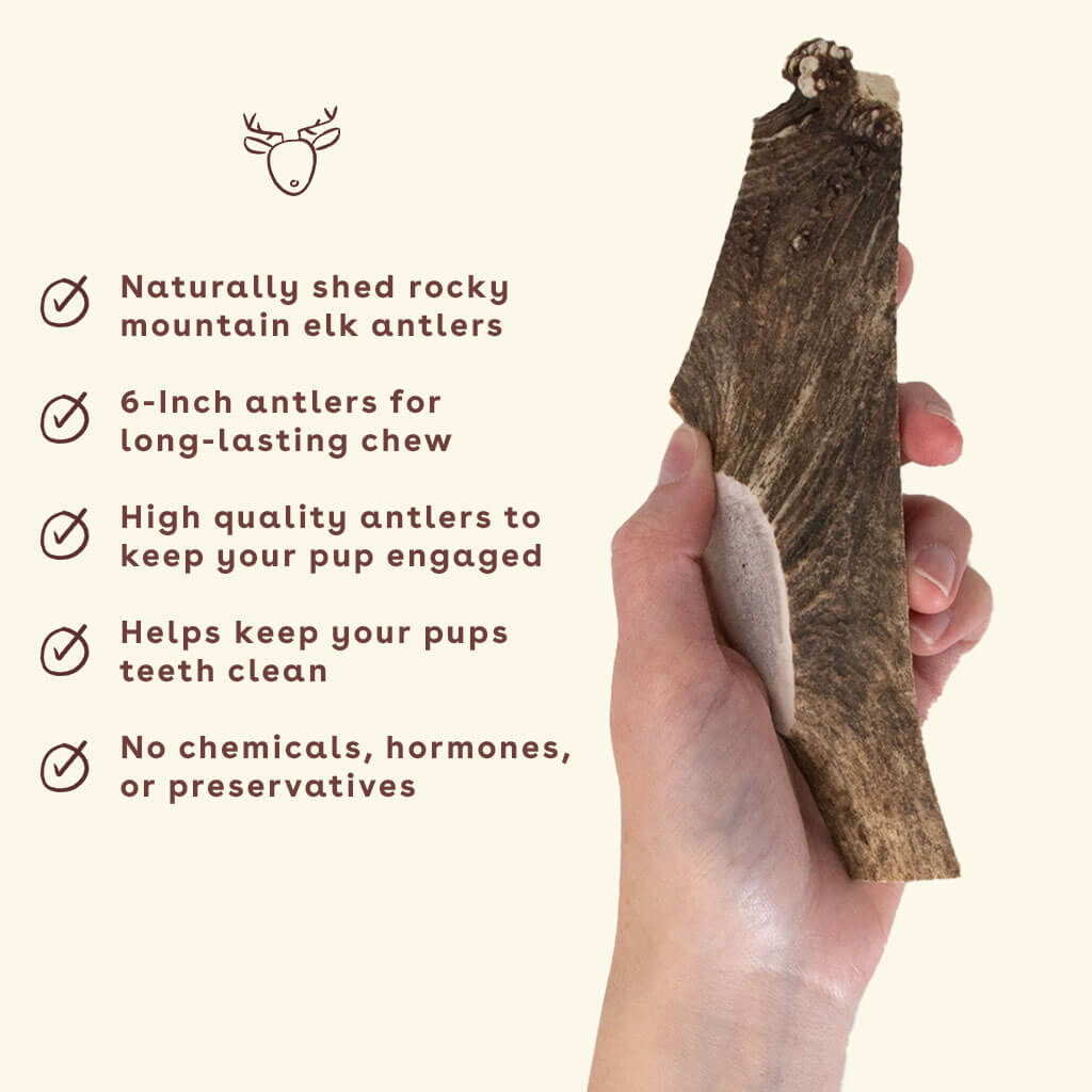 Elk Antler Chew product image 4