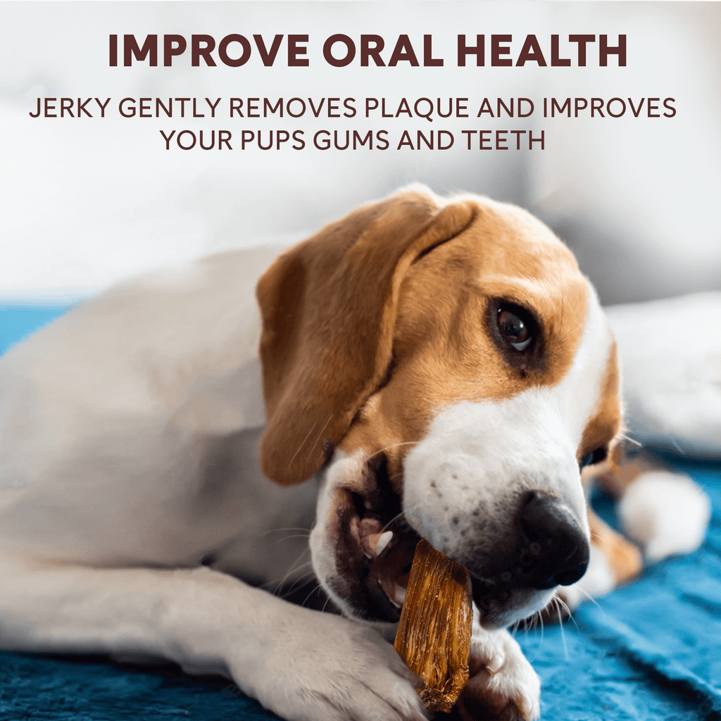 Chicken Jerky Treats product image 9