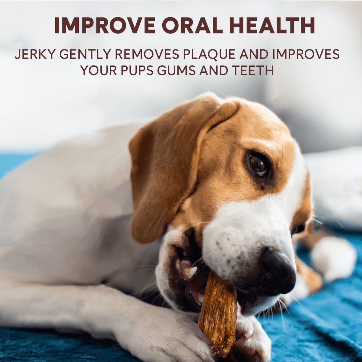Chicken Jerky Treats product image 9
