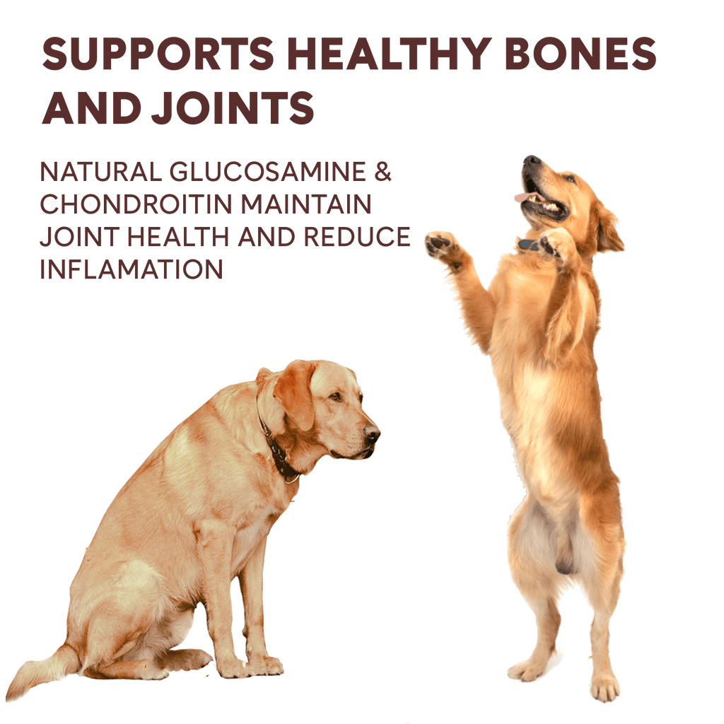 Chicken Jerky Treats product image 10