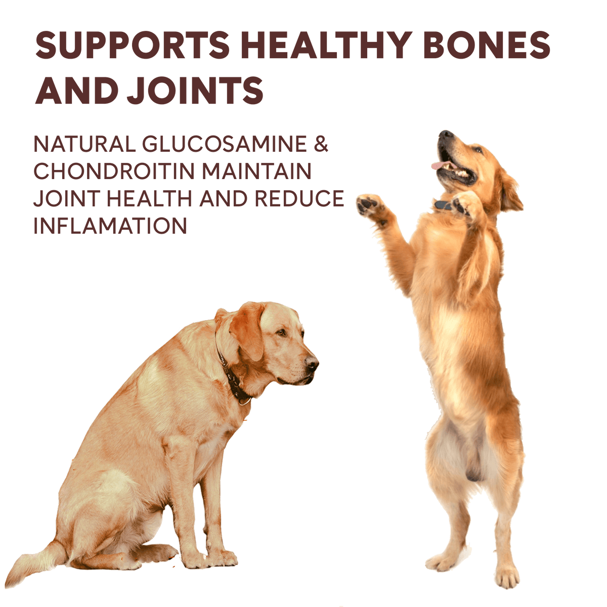 Chicken Jerky Treats product image 10