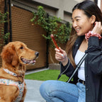 Dog Bully Sticks product image 4