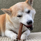 Dog Bully Sticks product image 6