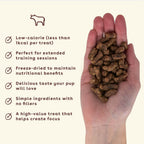 Dog Training Treat Bundle product image 3