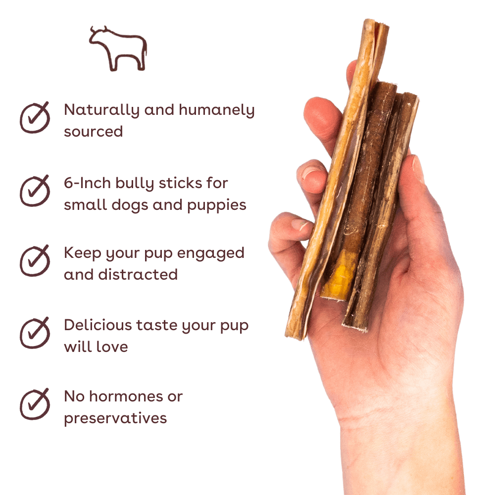 Bully Stick Dog Chew product image 2