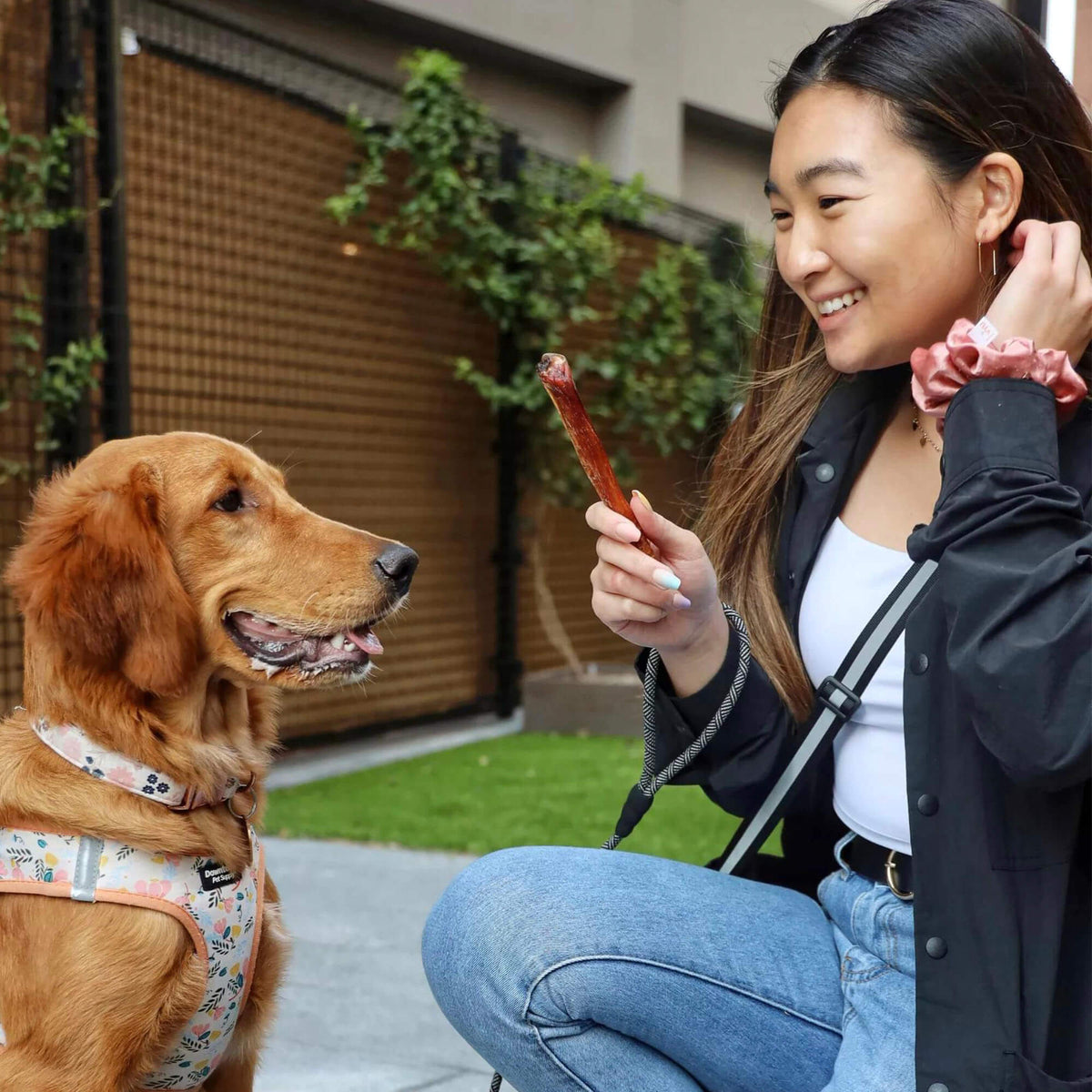 Bully Stick Dog Chew product image 4