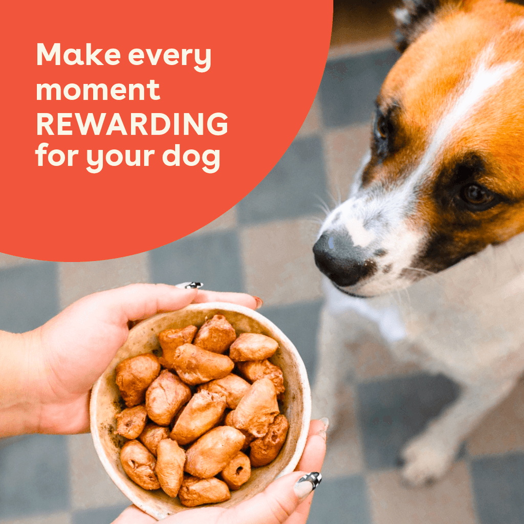 Dog Treats product image 2