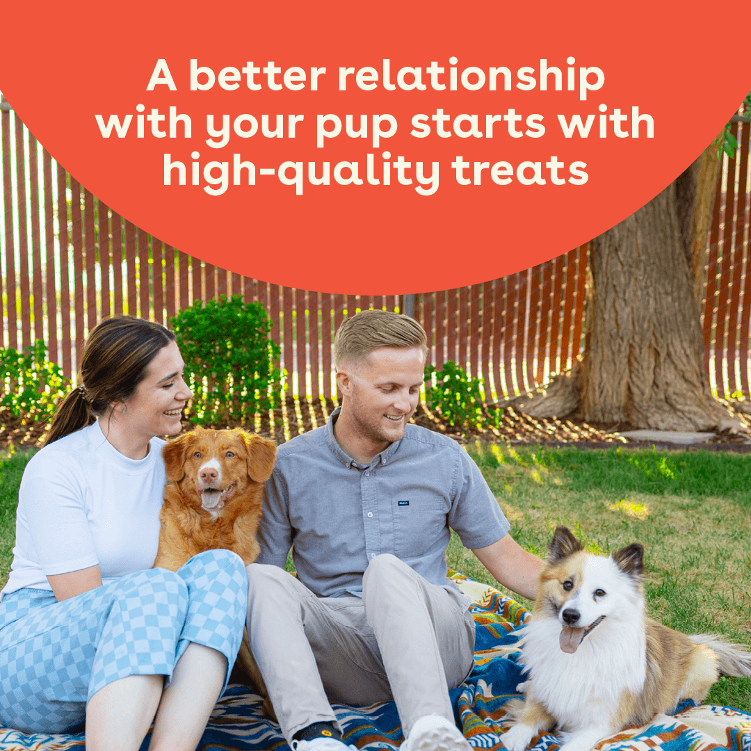 Dog Treats product image 4