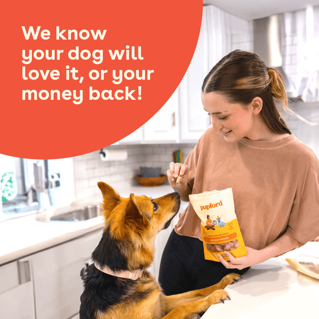Dog Treats product image 5