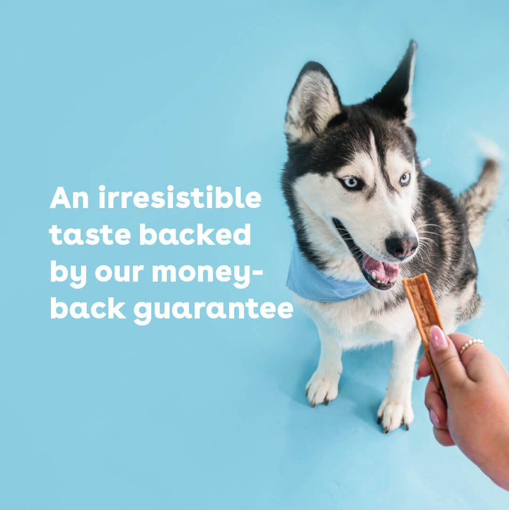 Chicken Jerky Treats product image 4