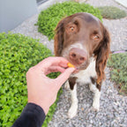Dog Cheese Treats product image 8