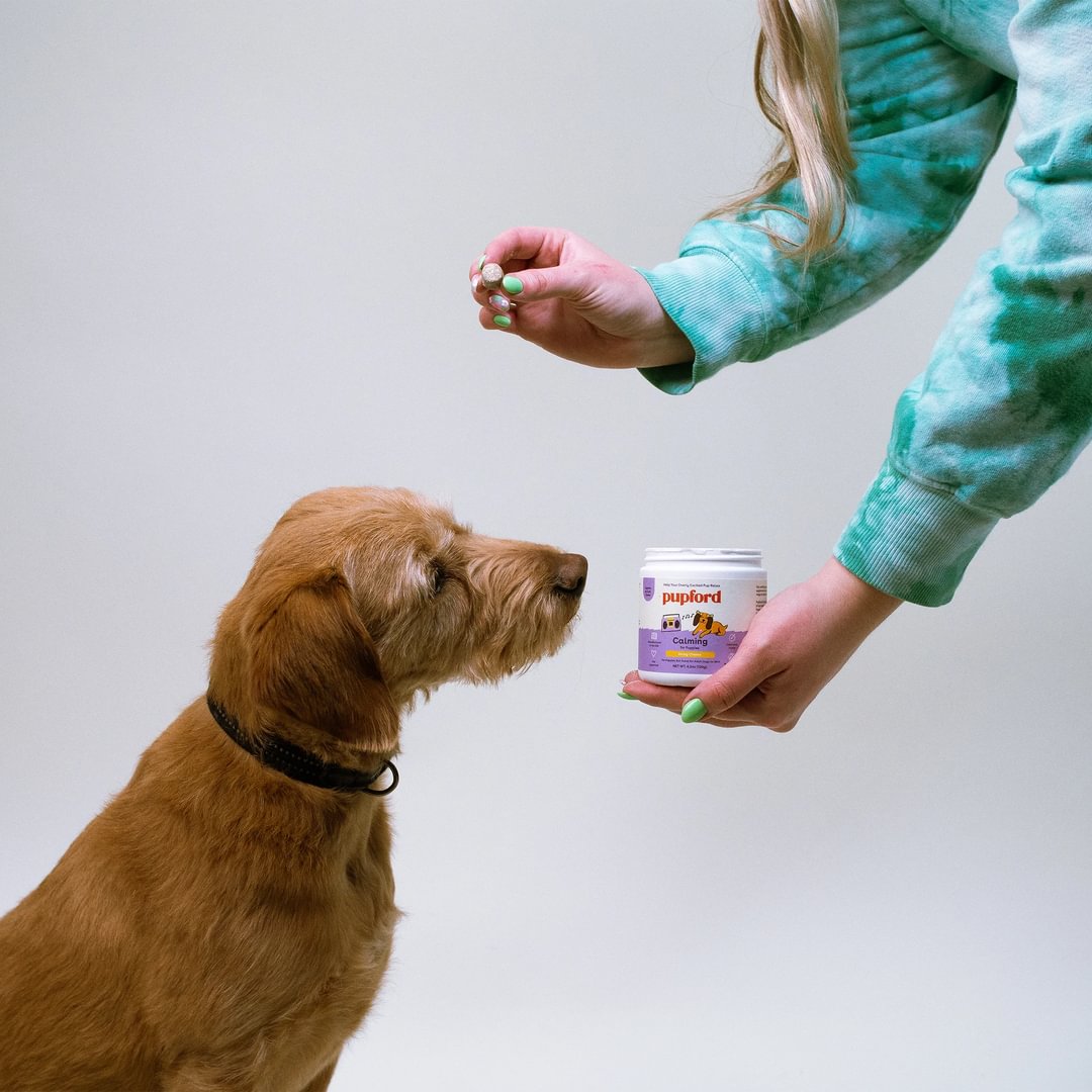 Puppy Calming Supplement product image 5