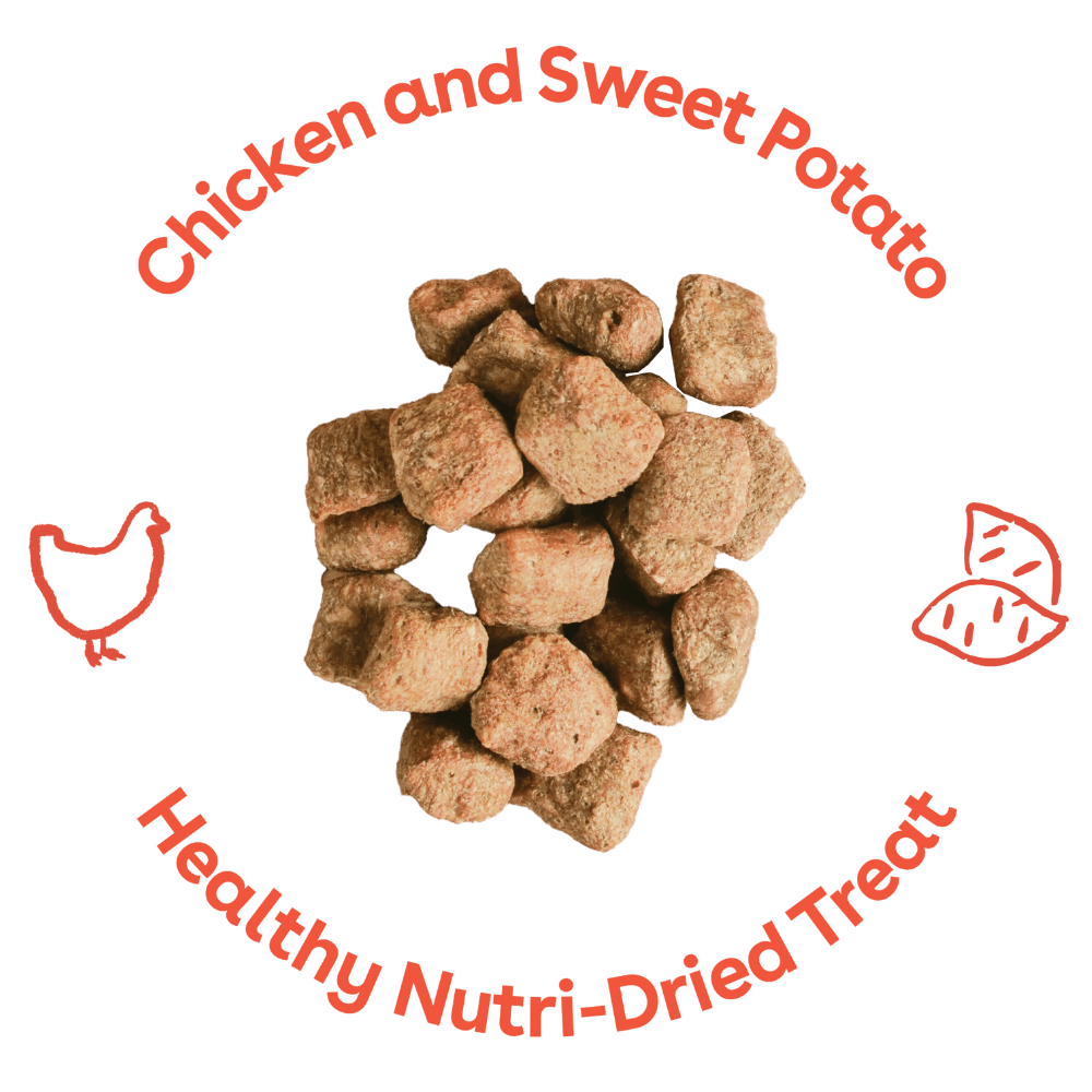 Crunchy Dog Treats product image 3