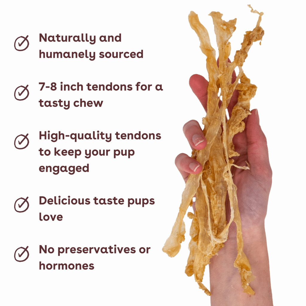Dog Treats product image 3