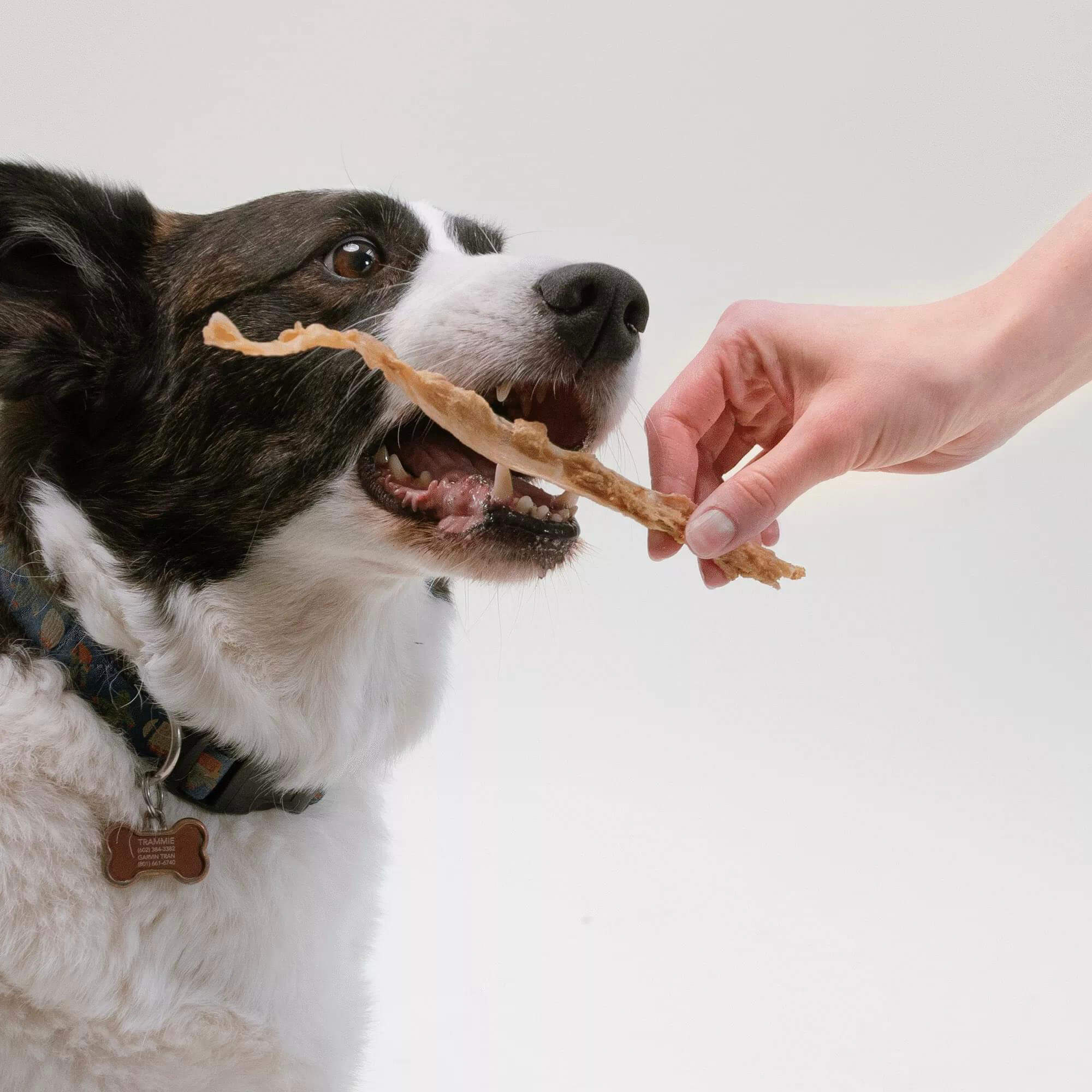 Dog Treats product image 4