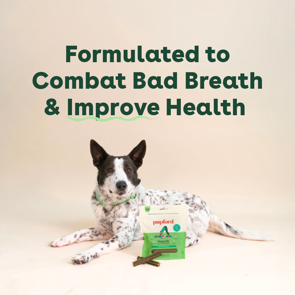 Dog Dental Chews product image 7