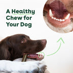 Dog Dental Chews product image 8