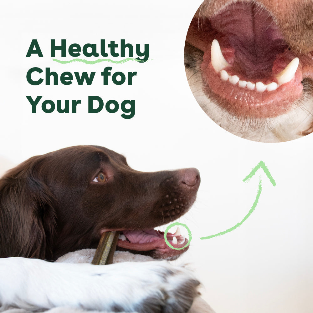 Dog Dental Chews product image 8