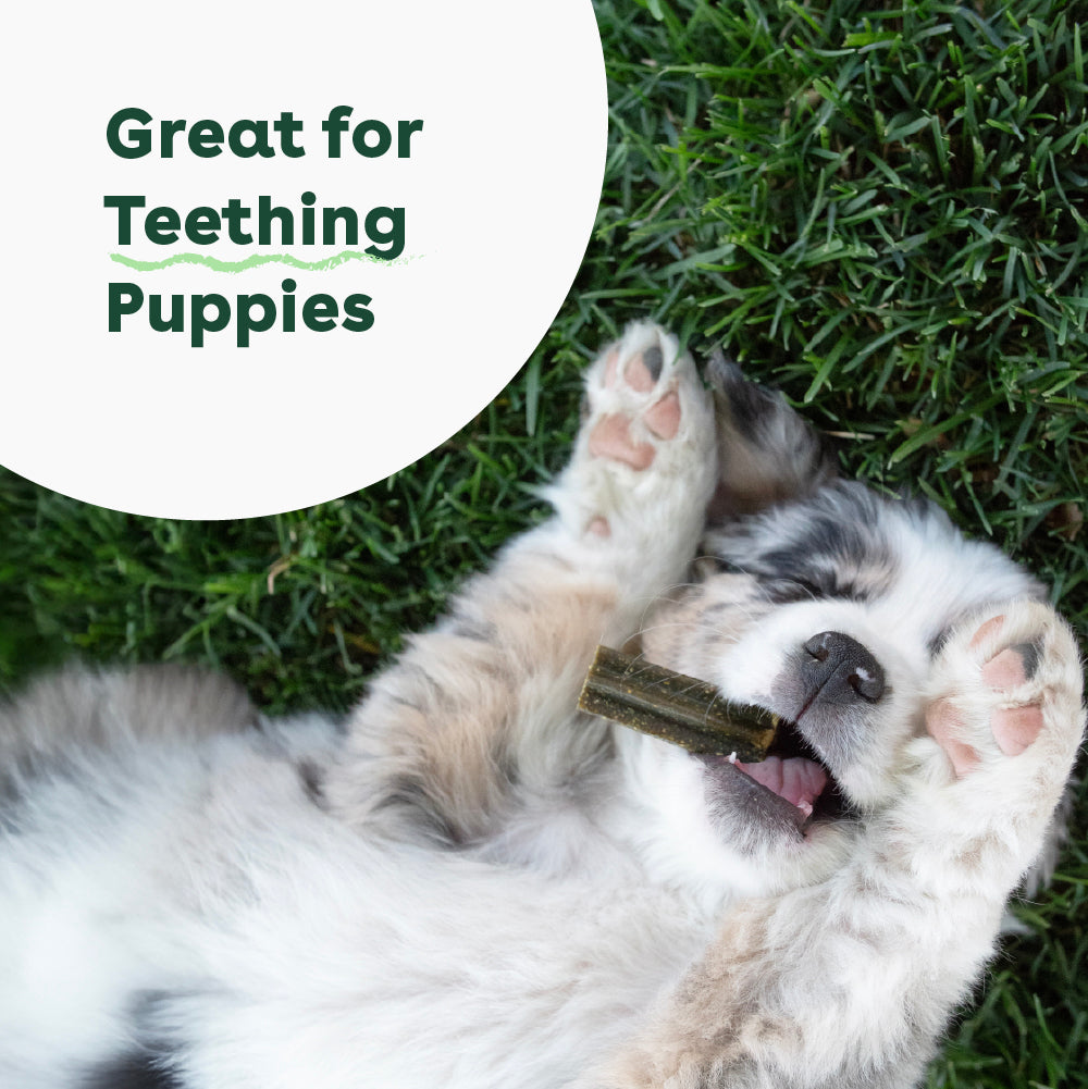 Dog Dental Chews product image 9