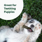 Dog Dental Chews product image 9