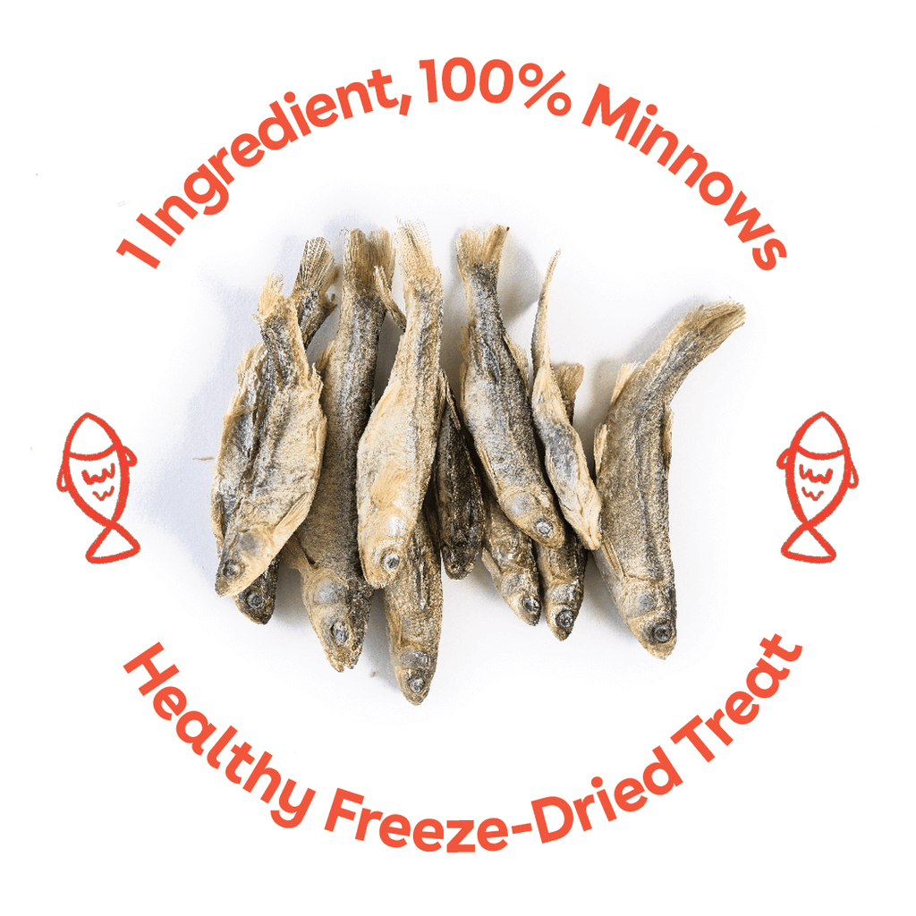 Single-Ingredient Freeze-Dried Minnow Dog Treats product image 2