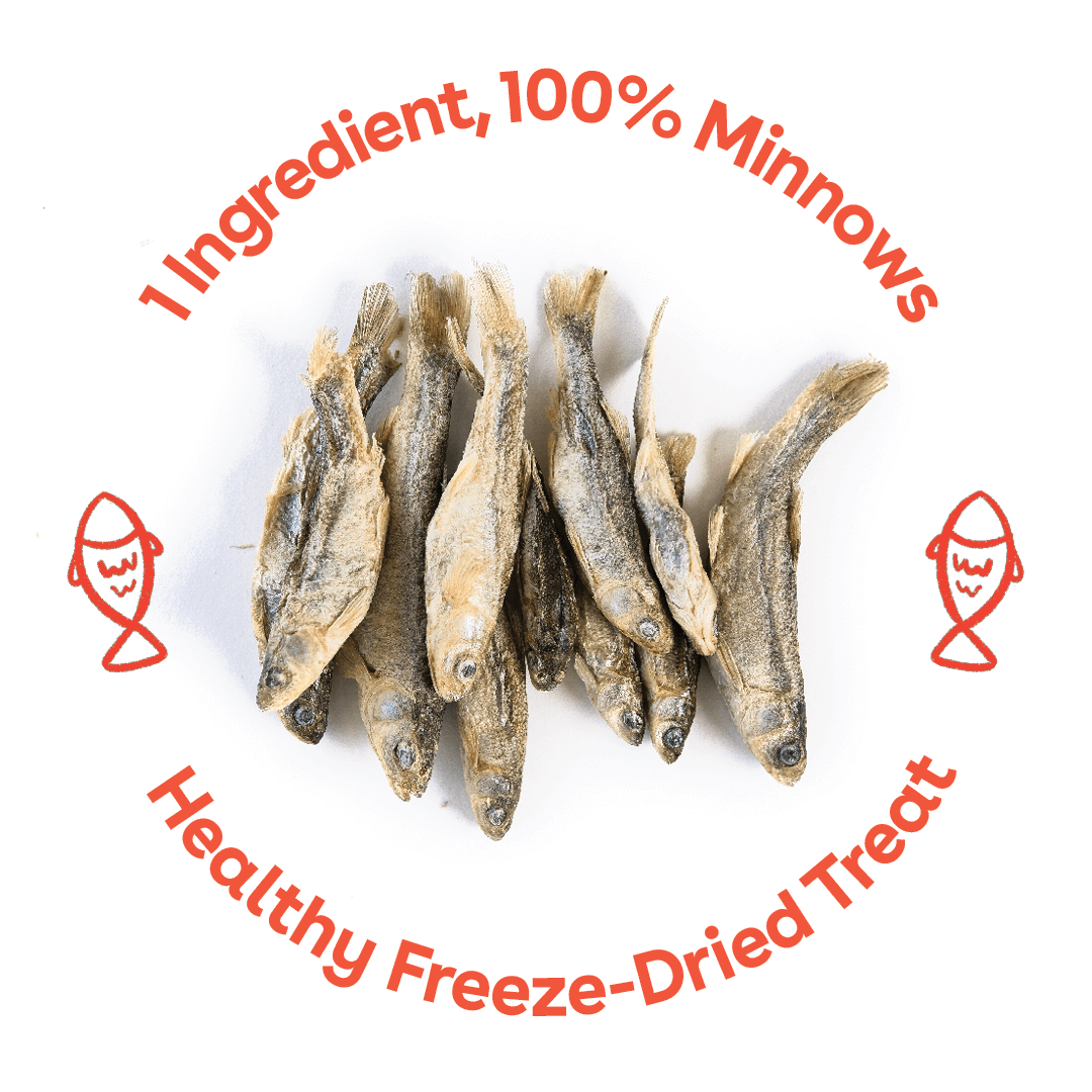 Single-Ingredient Freeze-Dried Minnow Dog Treats product image 2