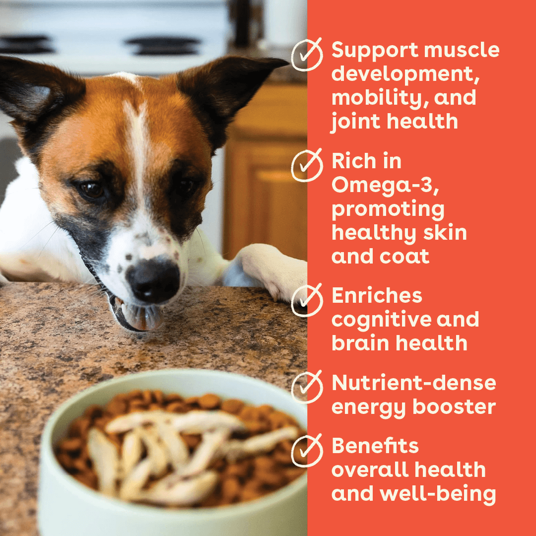 Single-Ingredient Freeze-Dried Minnow Dog Treats product image 3