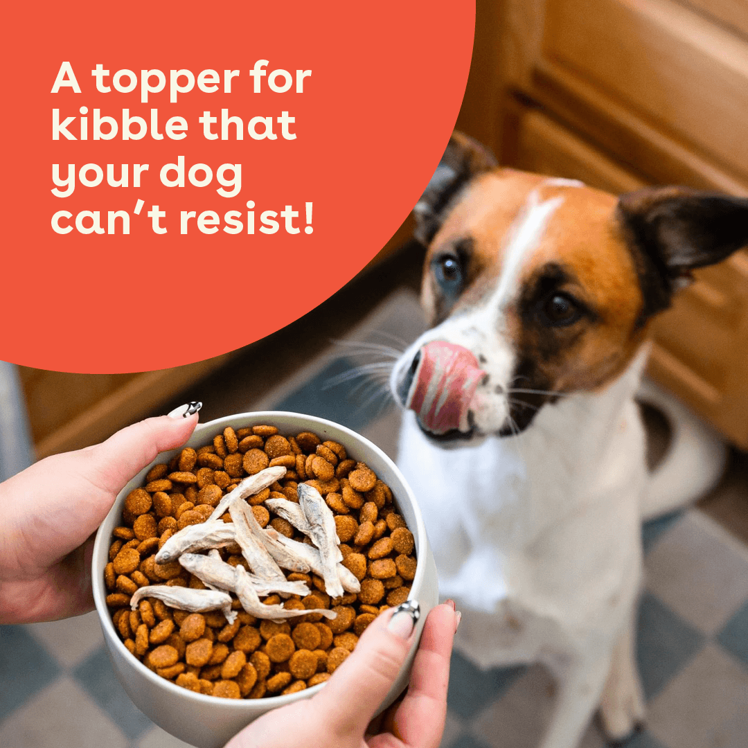 Single-Ingredient Freeze-Dried Minnow Dog Treats product image 4