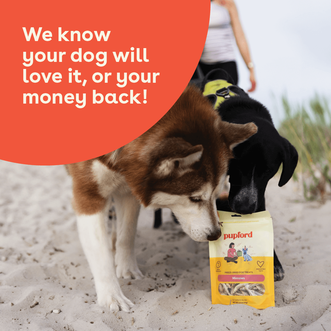 Single-Ingredient Freeze-Dried Minnow Dog Treats product image 7