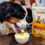 Dog Treats product image 8