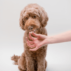 Dog Treats product image 9