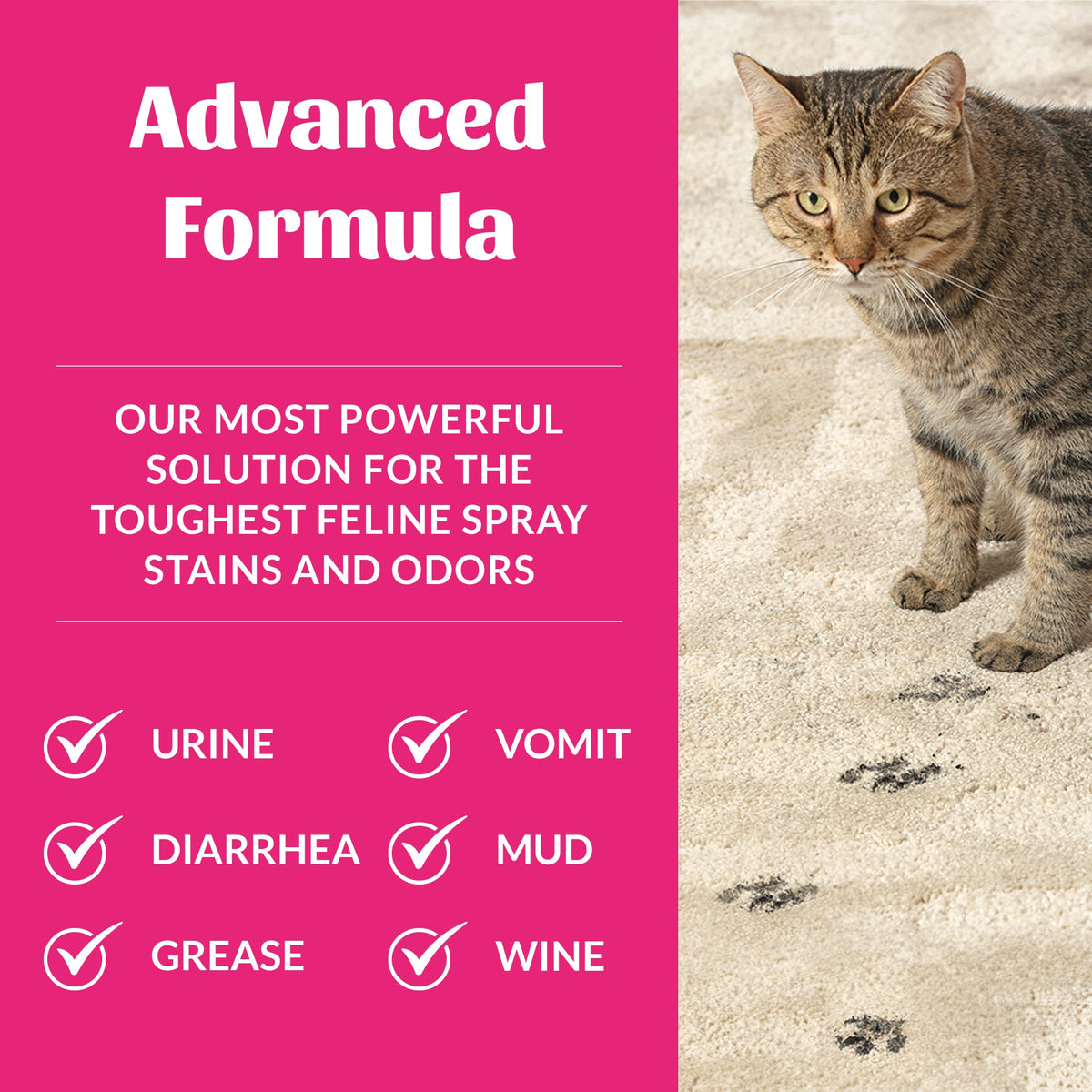 Cat Stain Remover product image 5